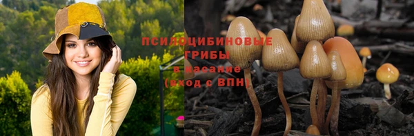 трава Михайлов