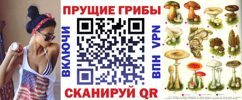 МЕГА ONION  Мглин  Псилоцибиновые грибы MAGIC MUSHROOMS 